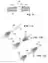 Fig. 07 - Sutureless lead retention features