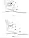 Fig. 07 - Prosthetic foot with energy transfer