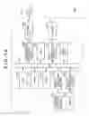 Fig. 48 - CONTENT REPRODUCTION APPARATUS, RECORDING MEDIUM, CONTENT REPRODUCTION METHOD AND CONTENT REPRODUCTION PROGRAM