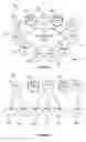 Fig. 04 - Moving principals across security boundaries without service interruption