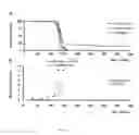 Fig. 02 - Non human animals with human-glial chimeric brains