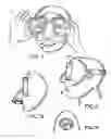Fig. 02 - Swimming and dive mask