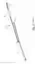 Fig. 02 - Windscreen Wiper Arm