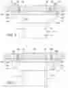 Fig. 03 - FLASHING CAP AND STABILIZER FOR ARCHITECTURAL COLUMNS
