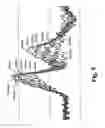 Fig. 06 - Induction system for an internal combustion engine
