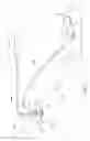 Fig. 02 - Liquid vapor separator