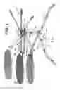 Fig. 02 - Collapsible grill and stand
