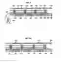 Fig. 02 - Providing an expandable sealing element having a slot to receive a sensor array