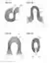 Fig. 09 - Electronic device and harness for wiring electronic devices