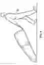 Fig. 06 - Original Christmas tree transport system