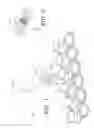 Fig. 02 - Selectively illuminating marking apparatus and method for its use