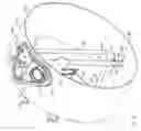 Fig. 04 - Fuel tank flange