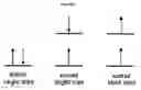Fig. 02 - High-intensity, persistent photoluminescent formulations and objects, and methods for creating the same