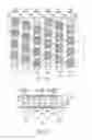 Fig. 08 - Semiconductor memory device including a contact with different upper and bottom surface diameters and manufacturing method thereof