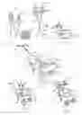 Fig. 02 - Cart
