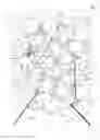 Fig. 01 - System and method for operating a large-scale wireless network