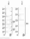 Fig. 07 - Systems and methods for use with orthogonal frequency division multiplexing