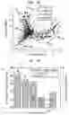Fig. 08 - System and method for detecting and tracking features in images