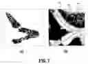 Fig. 08 - Robust vessel tree modeling
