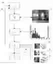 Fig. 01 - Summarization of Audio and/or Visual Data