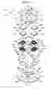 Fig. 06 - Image blur correction apparatus, lens barrel, and image capture apparatus