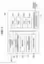 Fig. 03 - Image forming apparatus