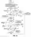 Fig. 12 - Image forming apparatus
