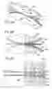 Fig. 22 - Method for producing hollow body elements, hollow body element, component, follow-on composite tool for producing hollow body elements