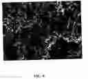Fig. 07 - Titanium and titanium alloys