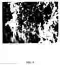 Fig. 09 - Titanium and titanium alloys