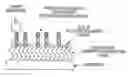Fig. 01 - Protein, method for immobilizing protein, structure, biosensor, nucleic acid, vector and kit for detecting target substance