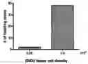 Fig. 01 - Differentiation of pluripotent stem cells with a kinase inhibitor or PGI2