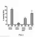 Fig. 06 - Differentiation of pluripotent stem cells with a kinase inhibitor or PGI2