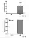Fig. 07 - Differentiation of pluripotent stem cells with a kinase inhibitor or PGI2