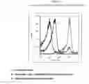 Fig. 02 - Method of treating cancer cells to create a modified cancer cell that provokes an immunogenic response