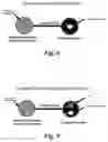 Fig. 08 - Composite material including a thermoplastic polymer, a pest food material and a pesticide