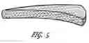Fig. 06 - Bioactive bone graft substitute