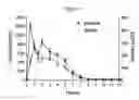 Fig. 02 - Controlled release formulations containing an active ingredient, preferably melatonin and the method of preparation