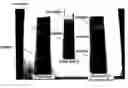 Fig. 01 - Method and Composition for Improving Adhesion of Organic Polymer Coatings with Copper Surface