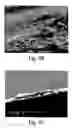 Fig. 04 - Method and Composition for Improving Adhesion of Organic Polymer Coatings with Copper Surface