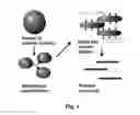 Fig. 02 -  PROCESS FOR PREPARING MICRORODS USING LIQUID-LIQUID DISPERSION