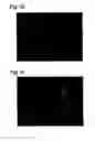 Fig. 06 - Composition for cold preservation and perfusion of organs