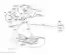 Fig. 01 - HDV nucleic acid molecules, fragments and applications thereof
