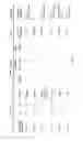 Fig. 04 - HDV nucleic acid molecules, fragments and applications thereof