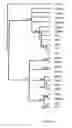 Fig. 06 - HDV nucleic acid molecules, fragments and applications thereof