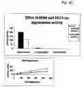 Fig. 07 - Method for the detection of proteolytic enzymes