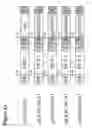Fig. 03 - Neomycin-phosphotransferase-genes and methods for the selection of recombinant cells producing high levels of a desired gene product