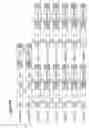 Fig. 04 - Neomycin-phosphotransferase-genes and methods for the selection of recombinant cells producing high levels of a desired gene product