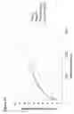 Fig. 17 - Neomycin-phosphotransferase-genes and methods for the selection of recombinant cells producing high levels of a desired gene product