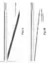 Fig. 02 - Nucleic acid amplification using non-random primers